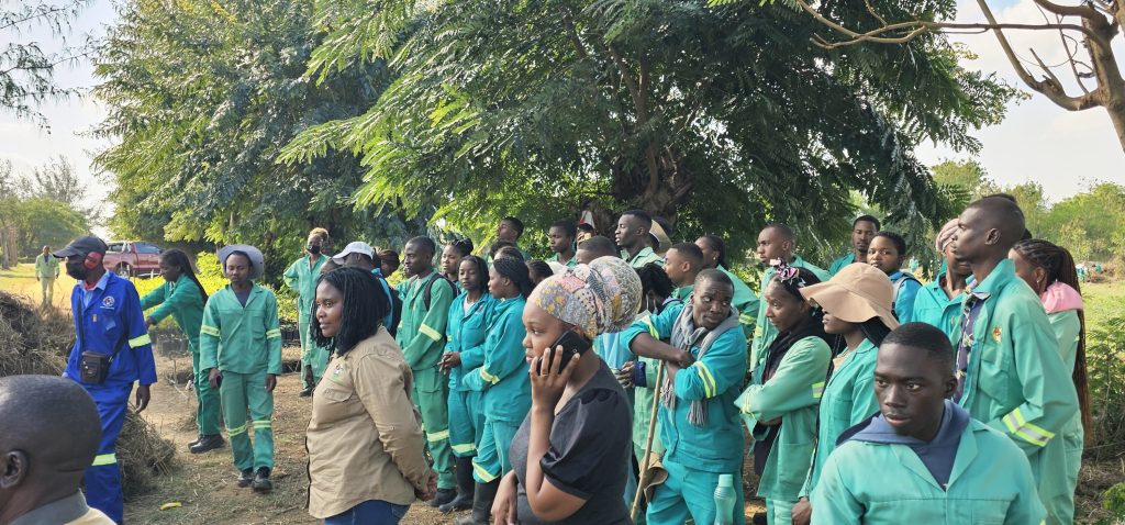 Instituto Agrário de Mocuba gradua sábado 107 técnicos em áreas estratégicas de desenvolvimento